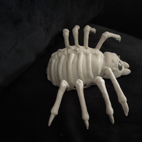COPY - Animated Skele Spider - Picture 5 of 5